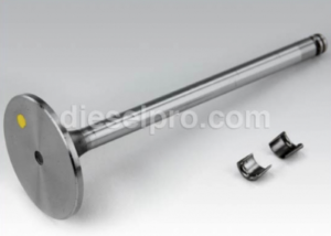 Intake valve for Cummins 6CTA 8.3L